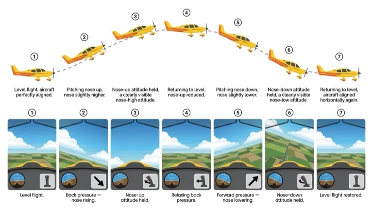 Complete elevator exercise -- 7-step cockpit view sequence