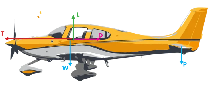 Four forces acting on an aircraft in flight — thrust, drag, lift, and weight