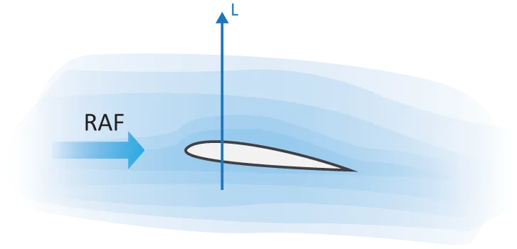 Airfoil cross-section showing relative airflow (RAF) from the left and the resulting lift vector pointing upward