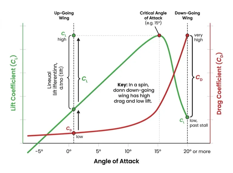 CL and CD curves showing up-going vs down-going wing positions