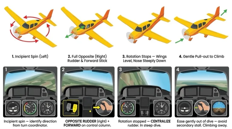 Incipient spin recovery -- forward stick, rudder, regain control